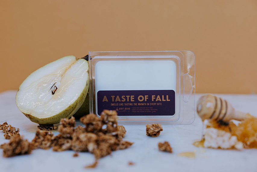 A Taste Of Fall Wax Melts