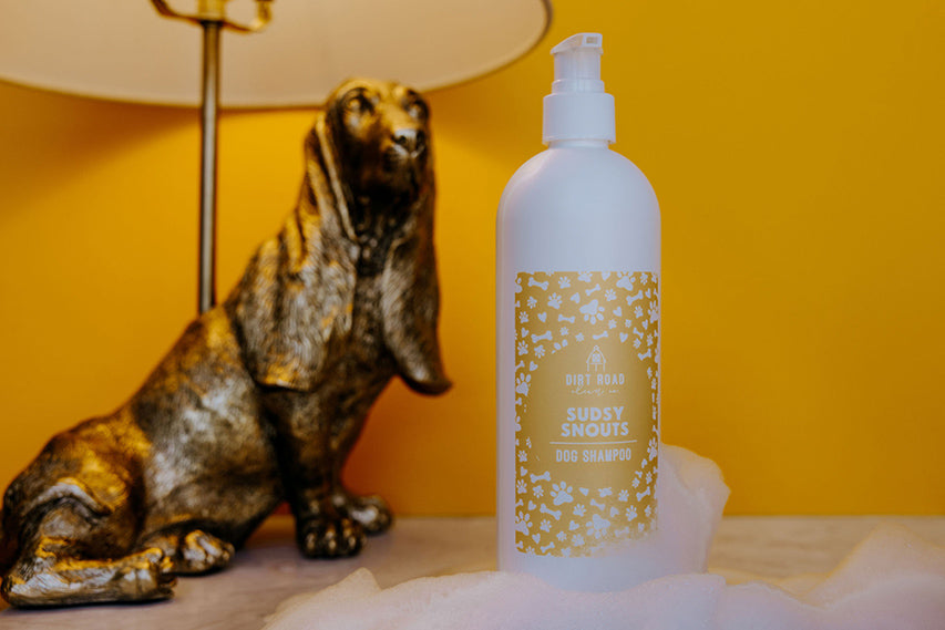 Sudsy Snouts Gentle Dog Shampoo