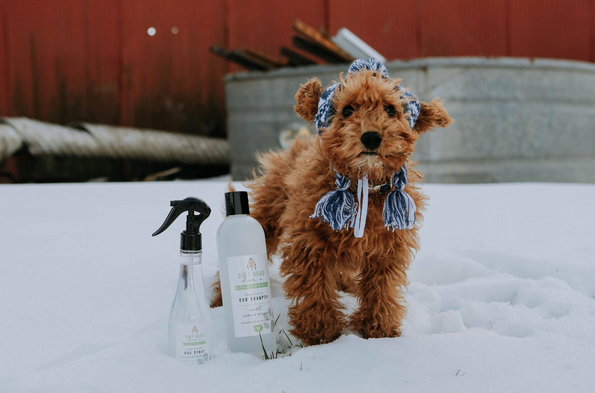 8 oz. Belly Rubs & Bubbles Dog "Re-Fresh" Spray