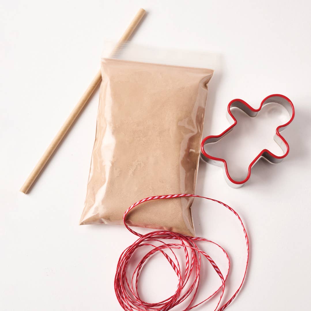 Gingerbread ornament kit - case