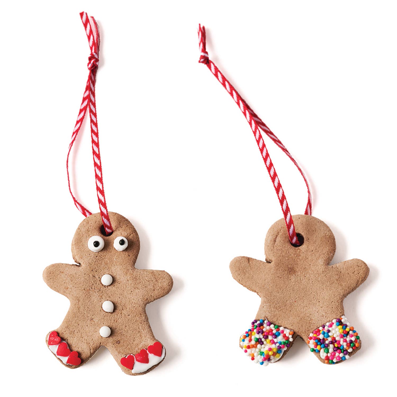 Gingerbread ornament kit - case