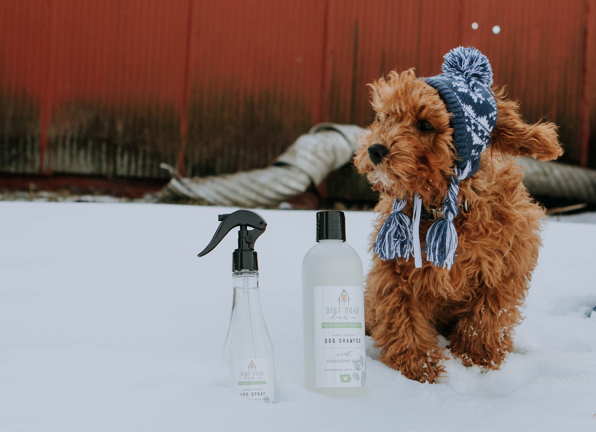 8 oz. Doggone Soak Dog "Re-Fresh" Spray