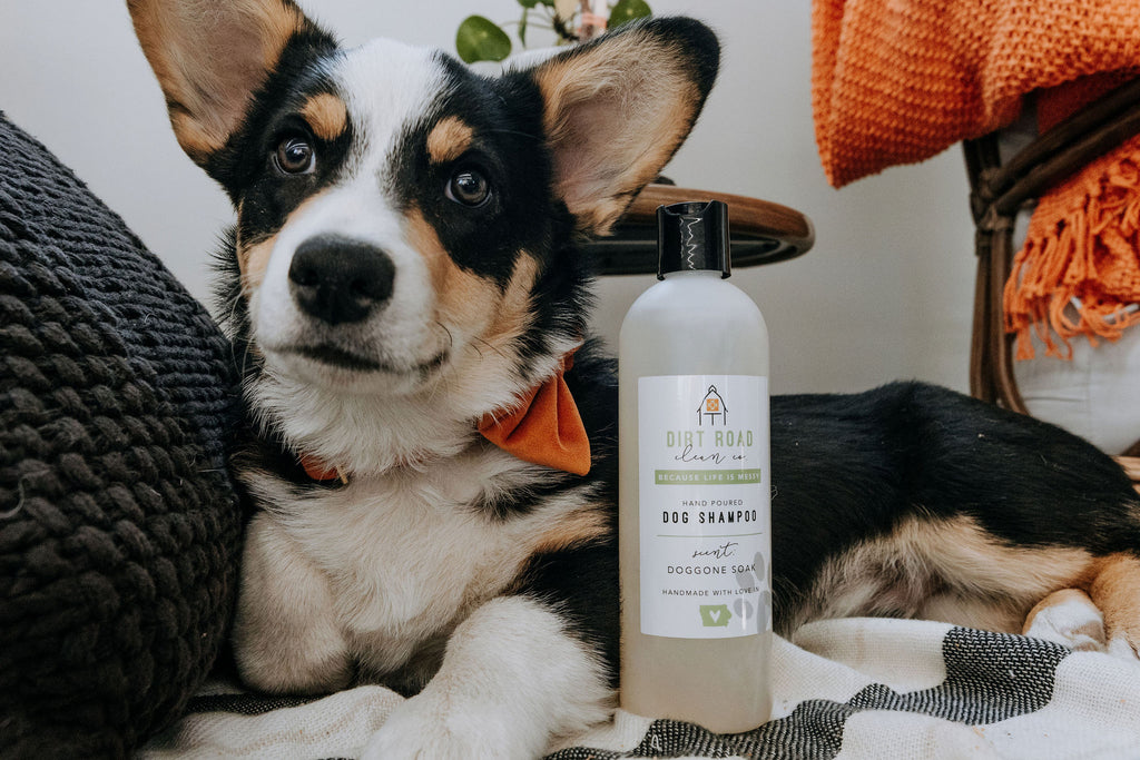 Good boy dog shampoo hotsell